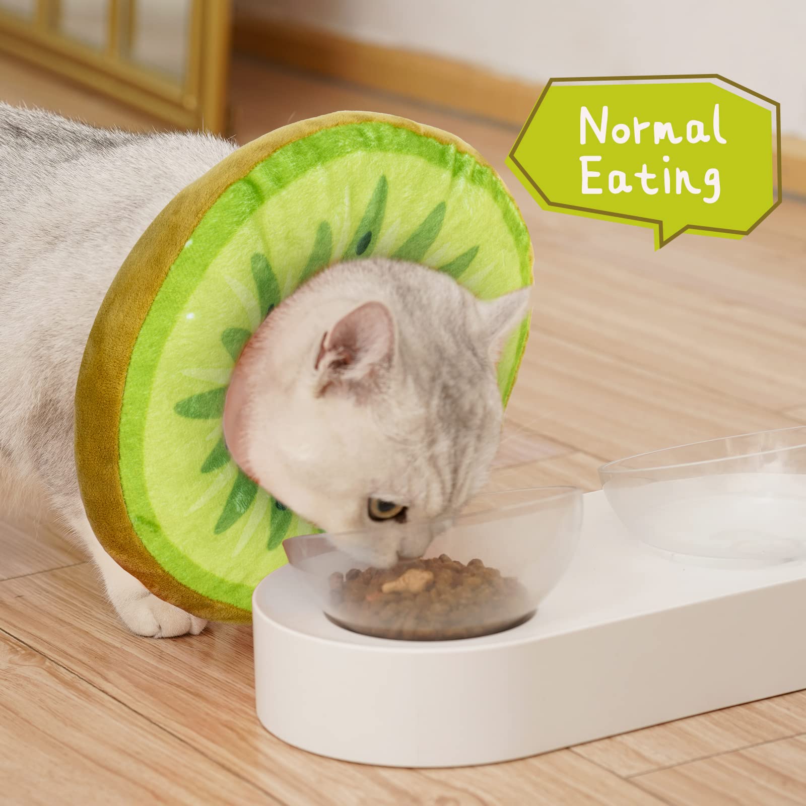 ANWA collier porté par chat facilitant alimentation et mouvement