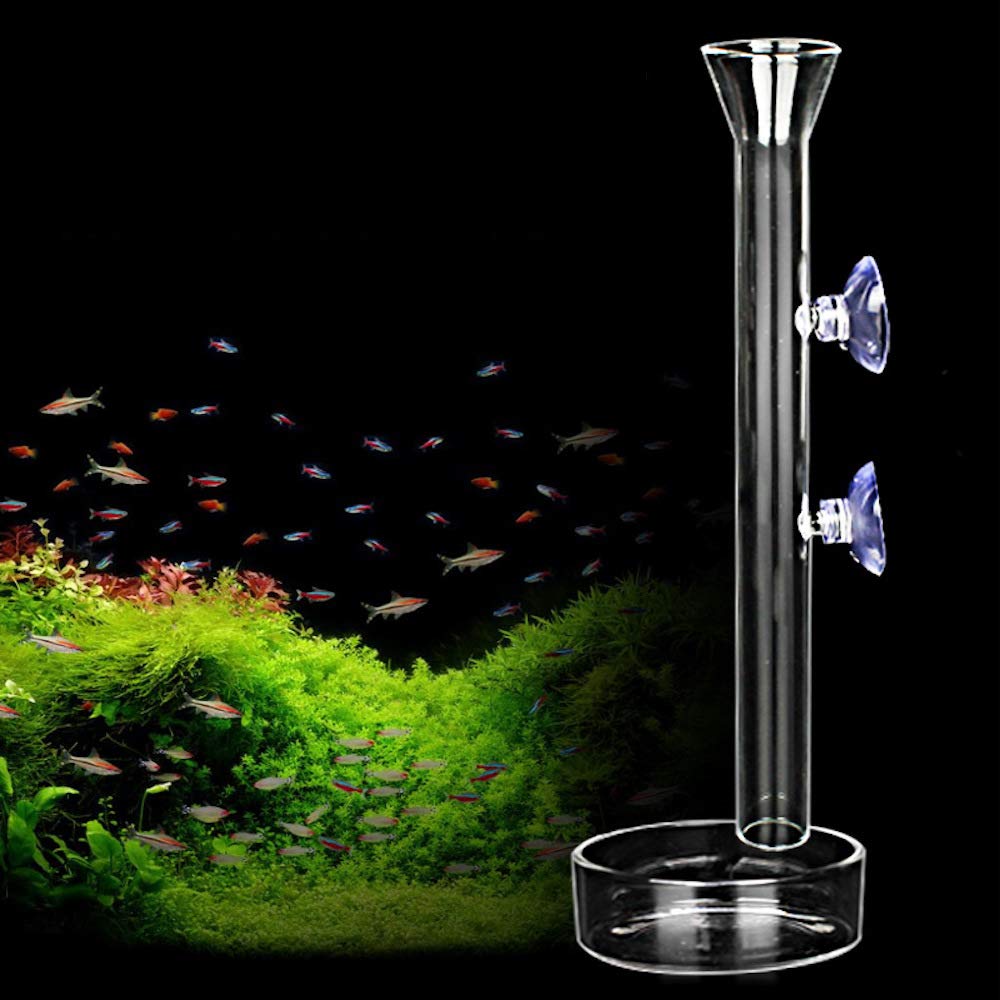 AnxunJim distributeur en verre face montrant plateau et tube pour alimentation propre