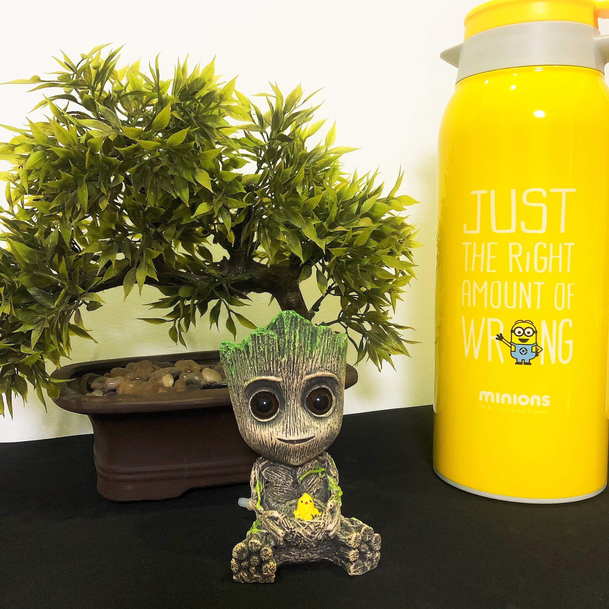 AnxunJim Groot dans un bac nano pour visualiser ambiance et décor apaisant