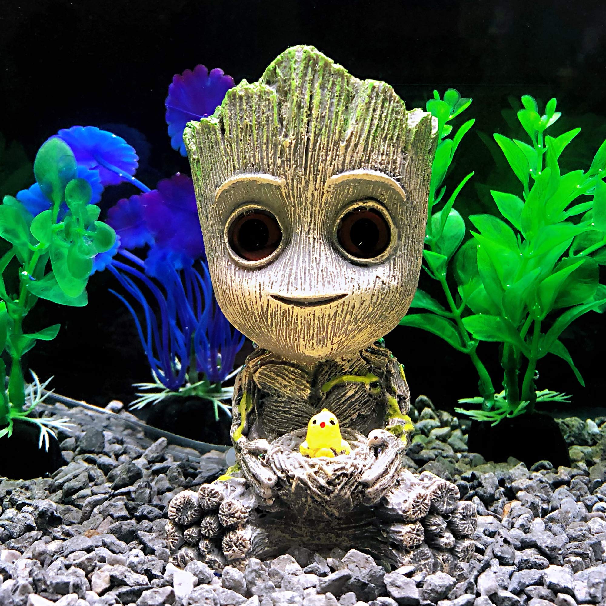 AnxunJim Groot positionné de profil dans un aquarium pour intégration facile
