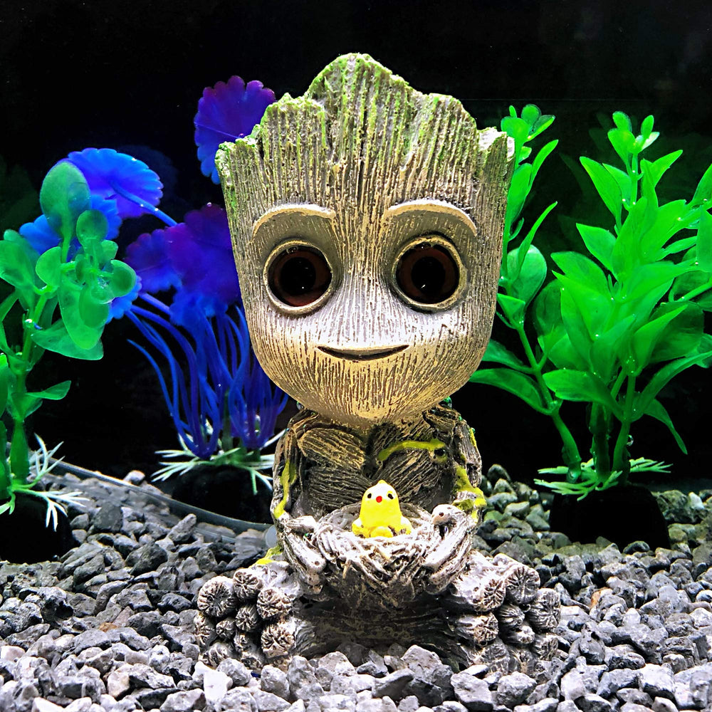 AnxunJim Groot positionné de profil dans un aquarium pour intégration facile