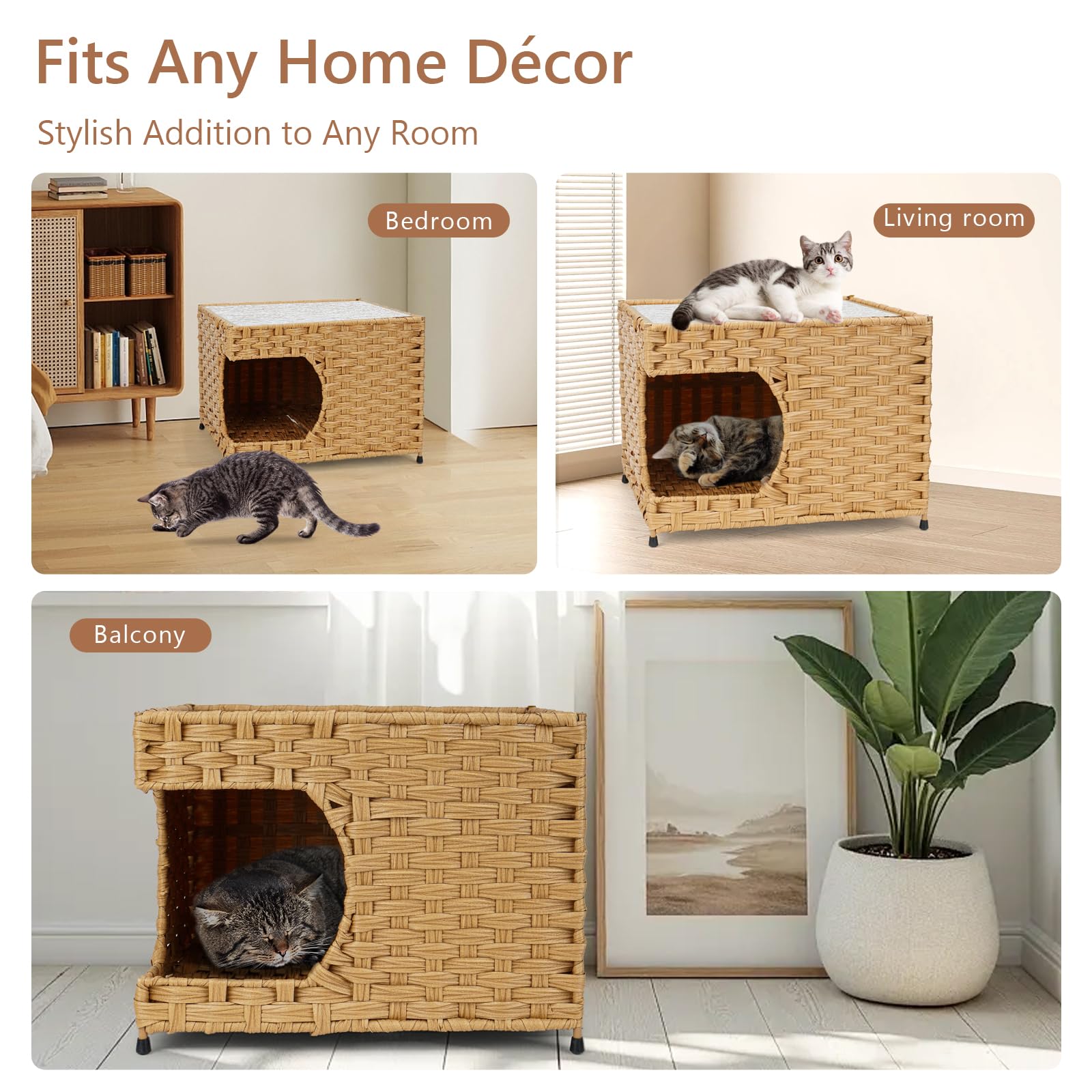Anysiny comparaison taille montrant espace adapté pour chat adulte