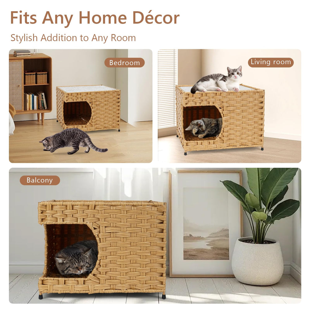 Anysiny comparaison taille montrant espace adapté pour chat adulte