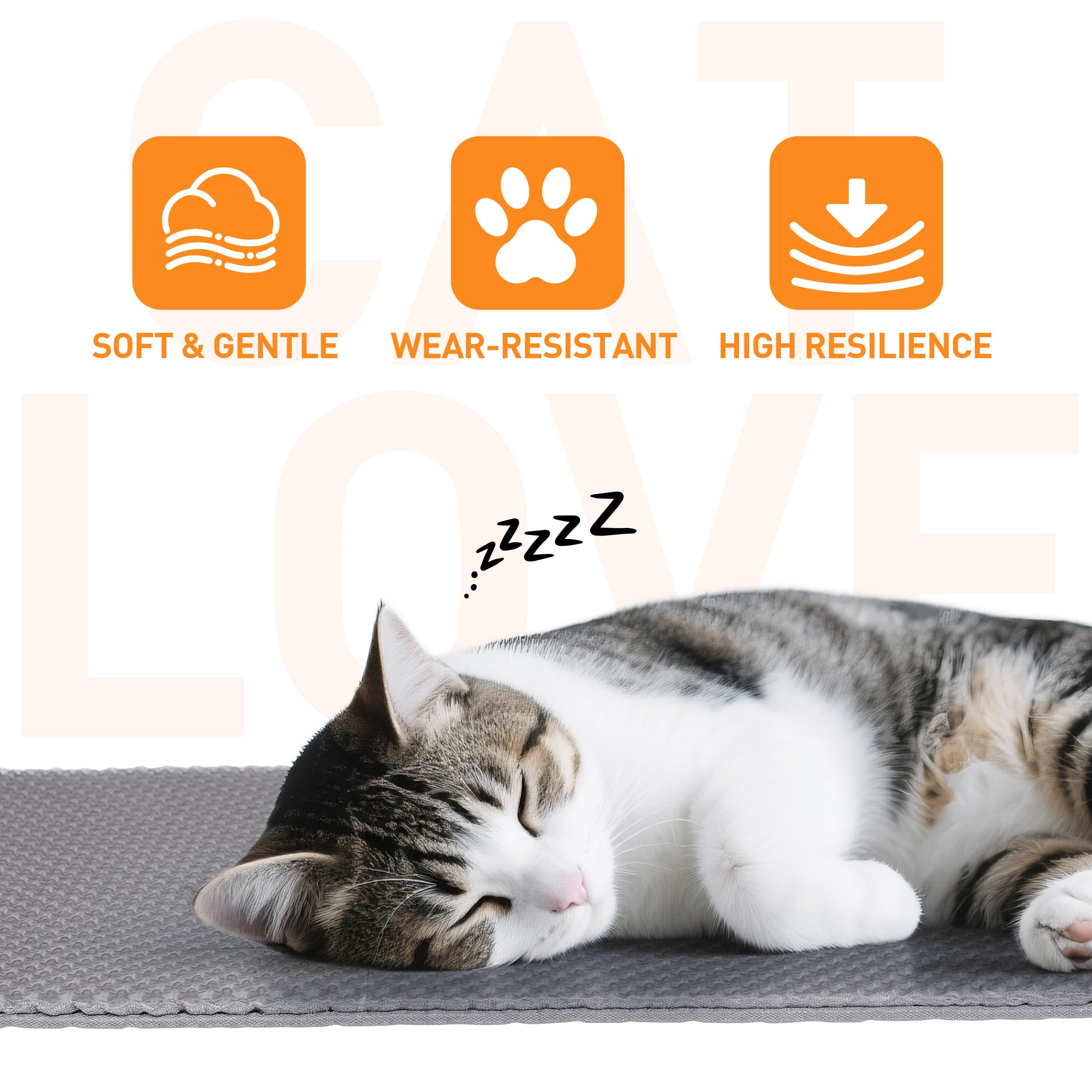 Anywish tapis litière surface EVA souple protège les pattes du chat
