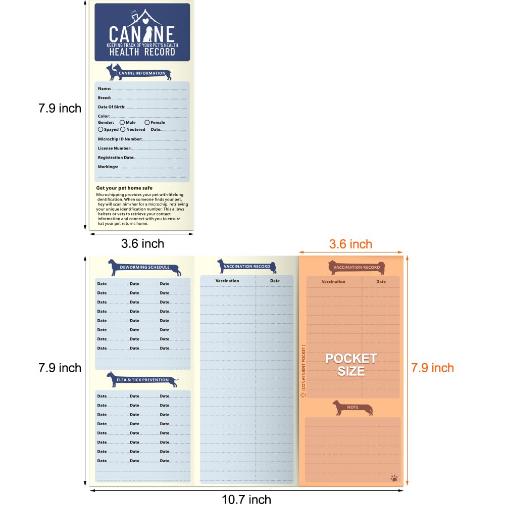 ANZON MORIES comparaison taille avec main montrant format pratique portable
