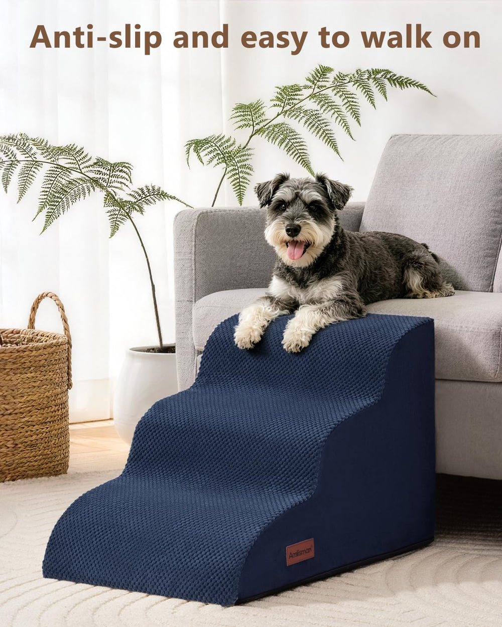 aodisman petit chien montant l'escalier pour confort articulaire