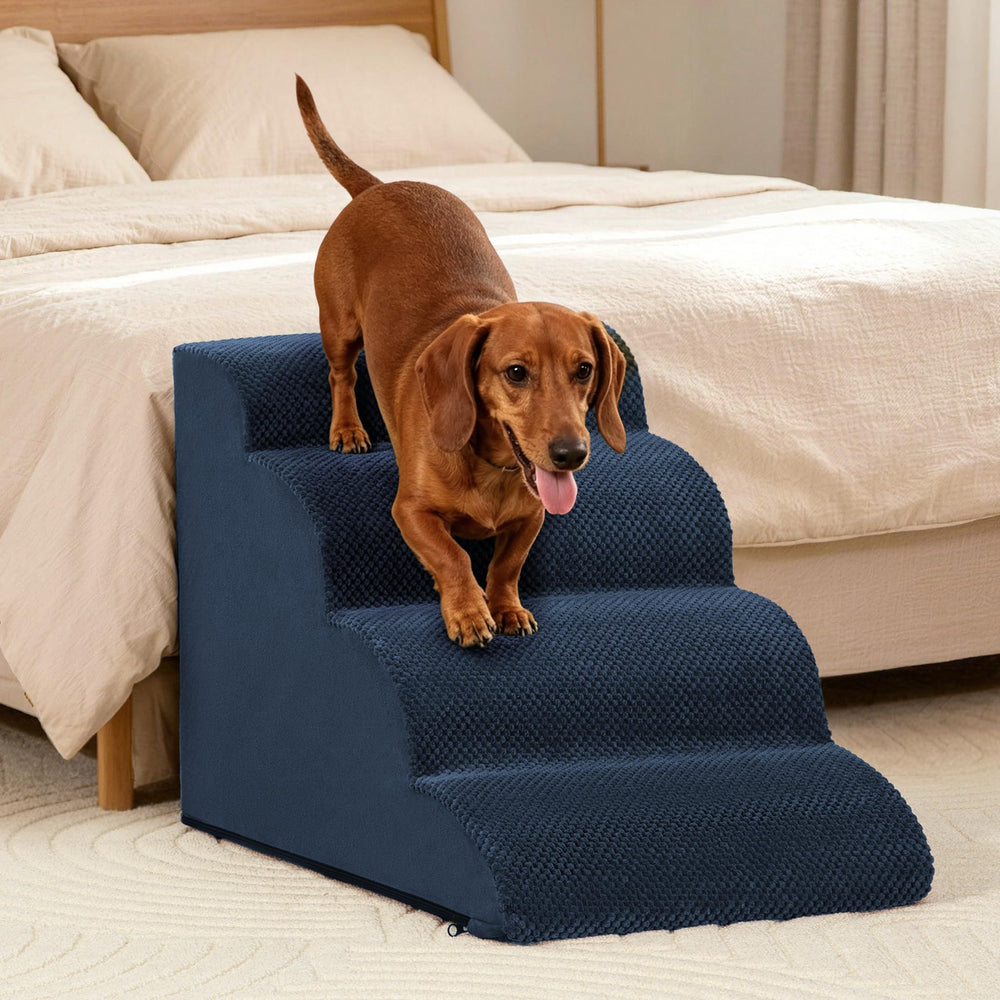 aodisman petit chien monte sur canapé sécurité et stabilité