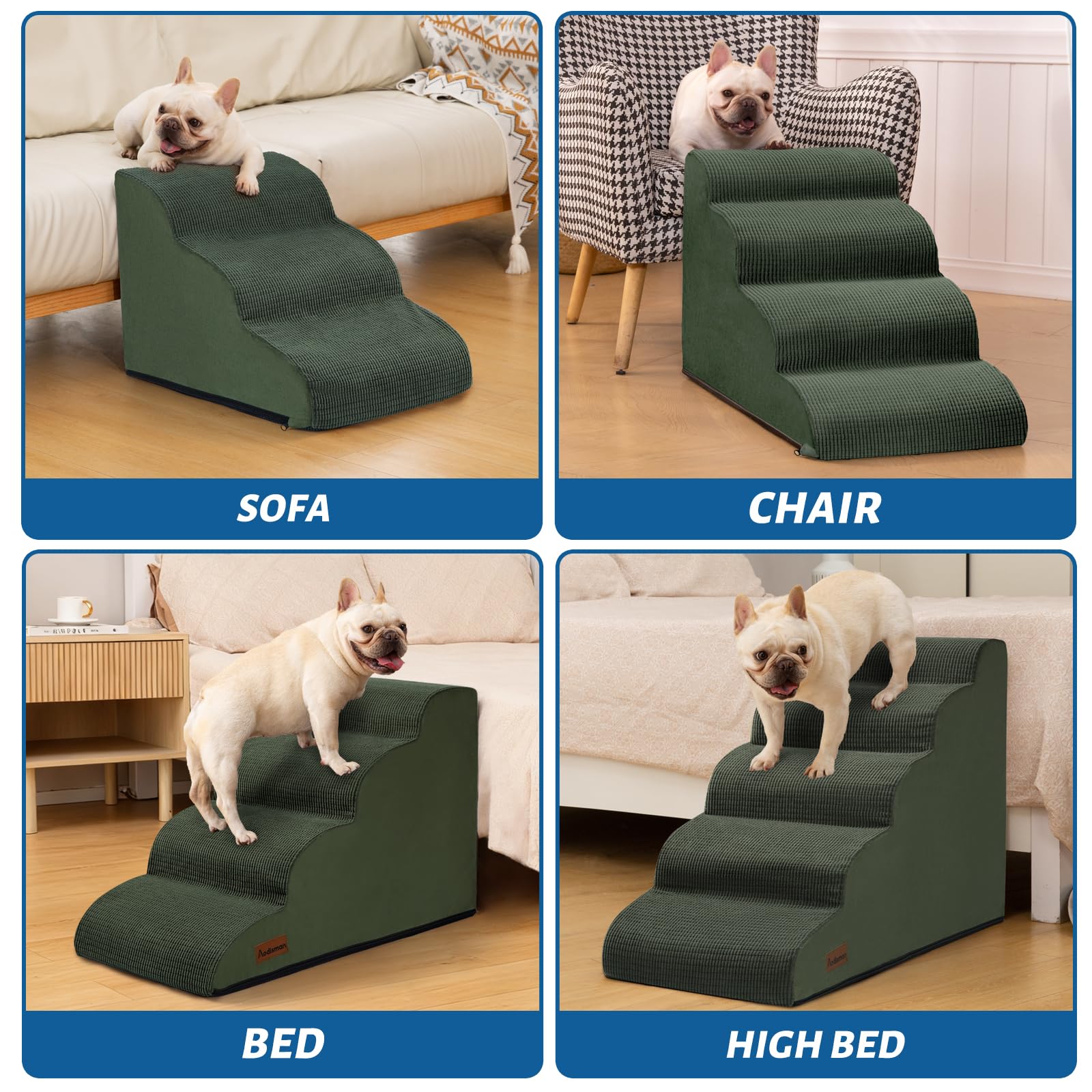 aodisman petit chien utilisant l'escalier pour monter au lit