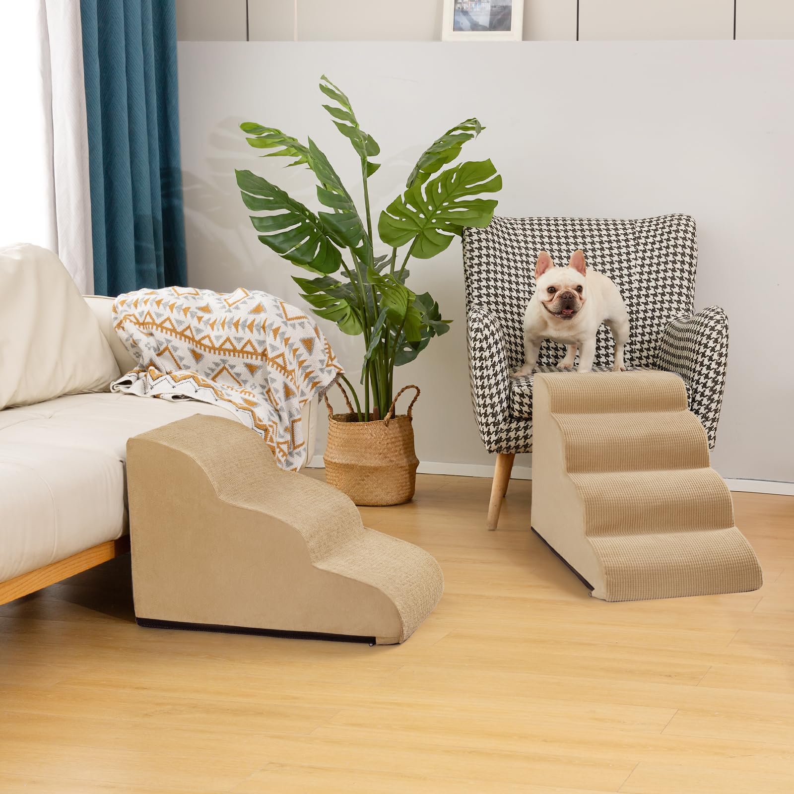 aodisman comparaison taille avec chat illustrant proportions adaptées