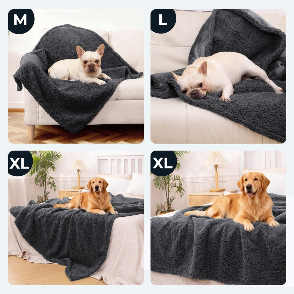 aodisman comparaison taille avec petit chien montre ajustement