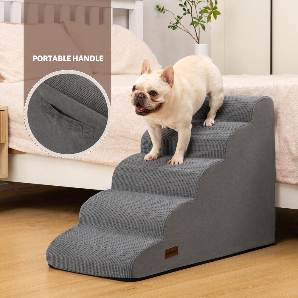 aodisman chien montant l'escalier en toute sécurité et confiance