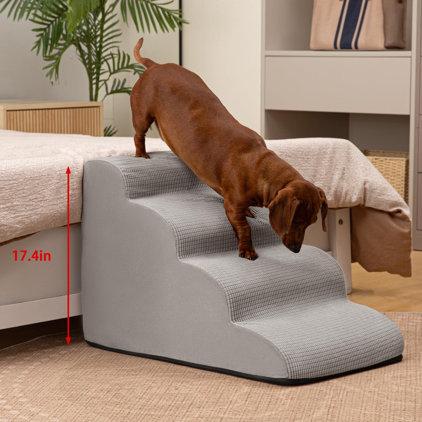 aodisman marchepieds en usage contre un lit facilitant l'accès des petits chiens