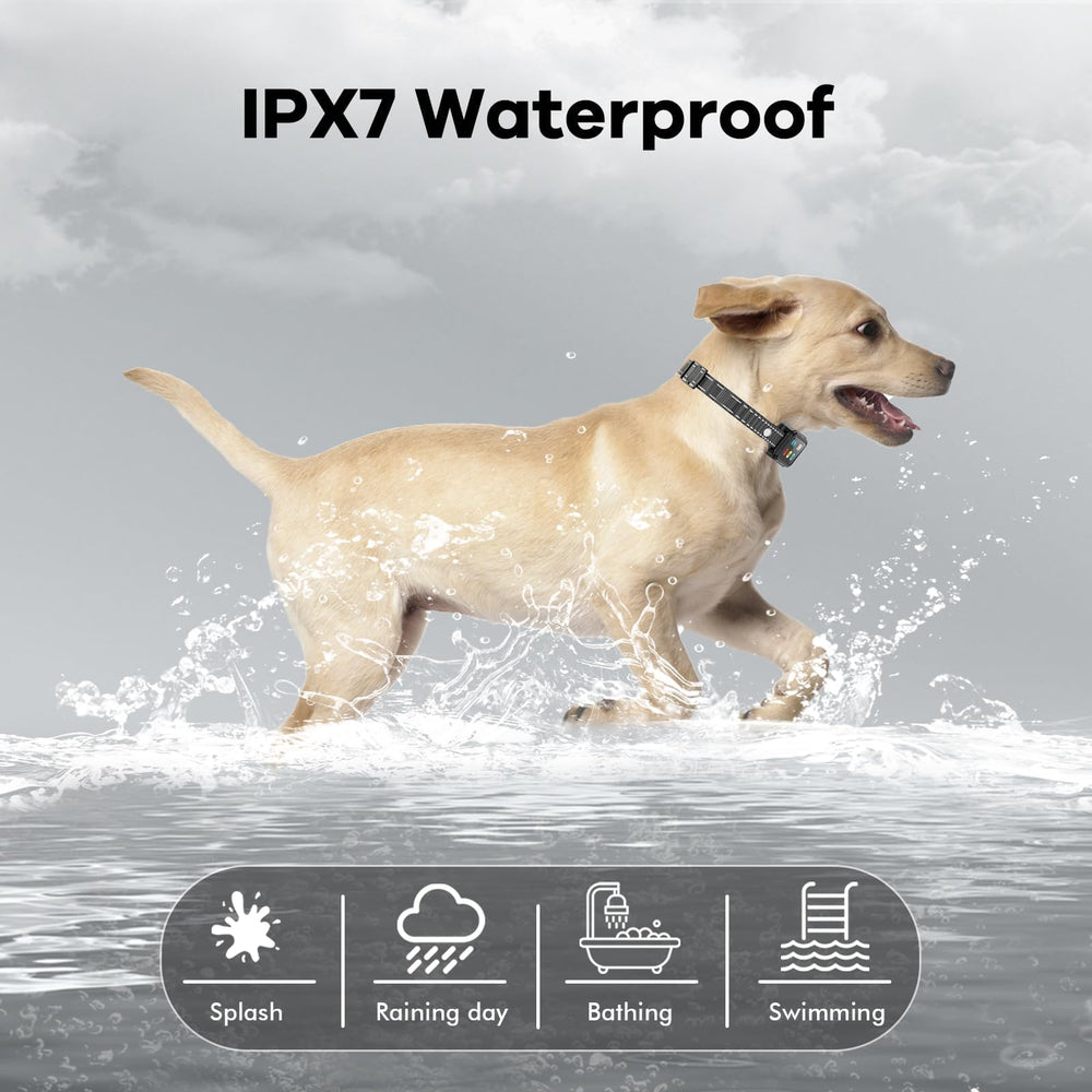 Aolulf comparaison taille montrant collier sur petit et grand chien, ajustable