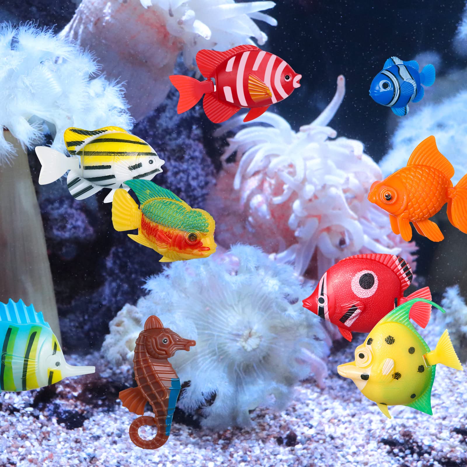 Aoriher mise en scène déco montrant ambiance océanique sans entretien
