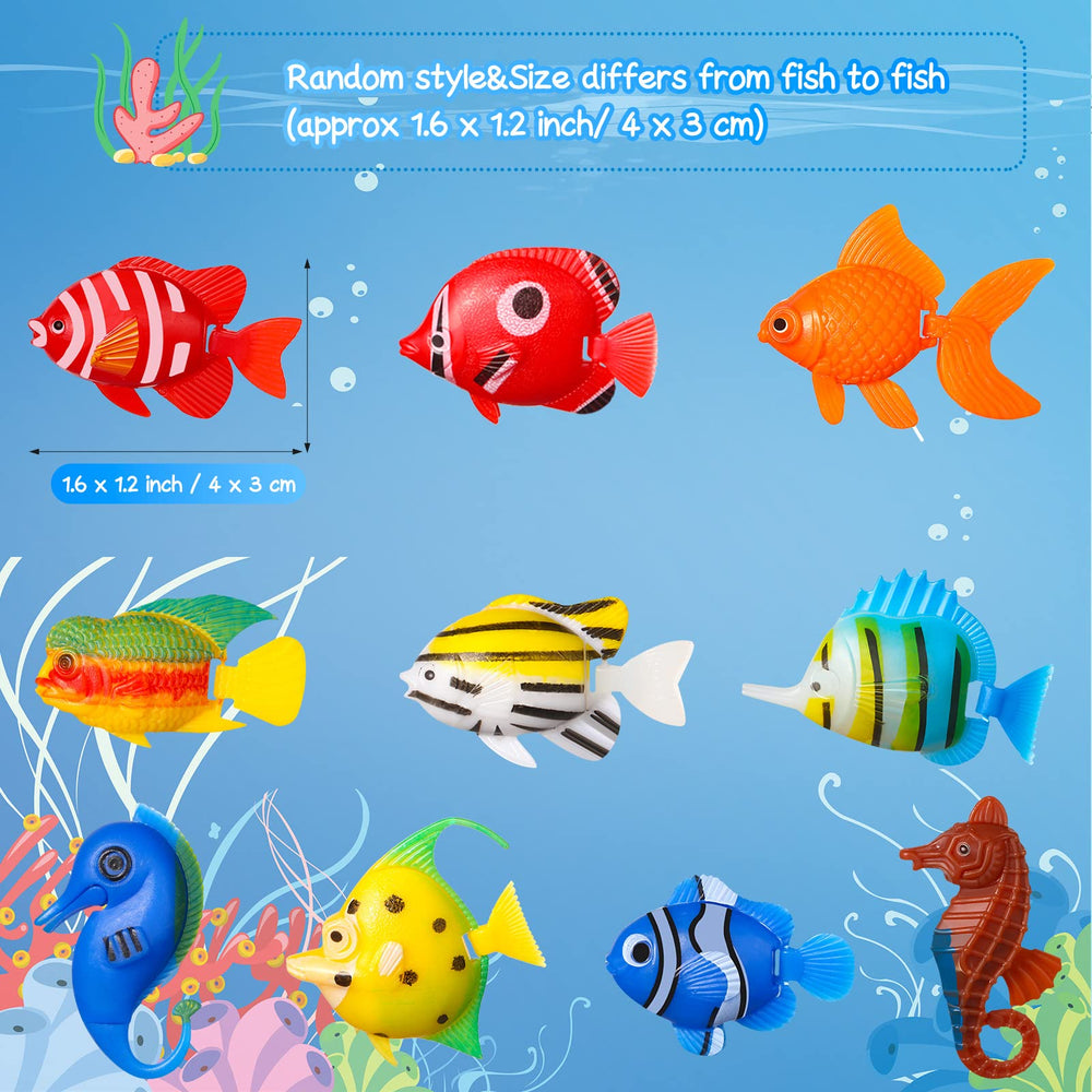 Aoriher comparaison de taille montrant échelle adaptée petits aquariums