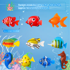 Aoriher comparaison de taille montrant échelle adaptée petits aquariums