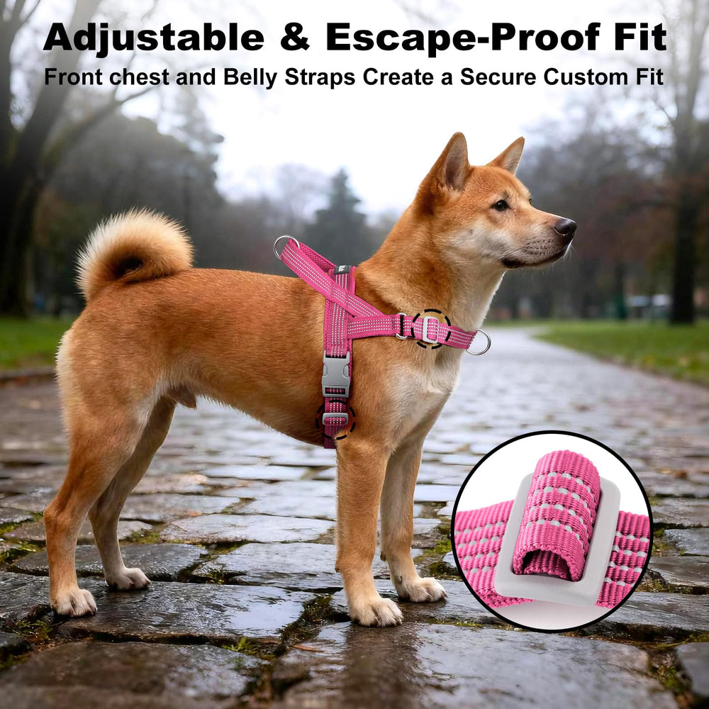 APAKBAK anneau dorsal pour promenades détendues et attache simple