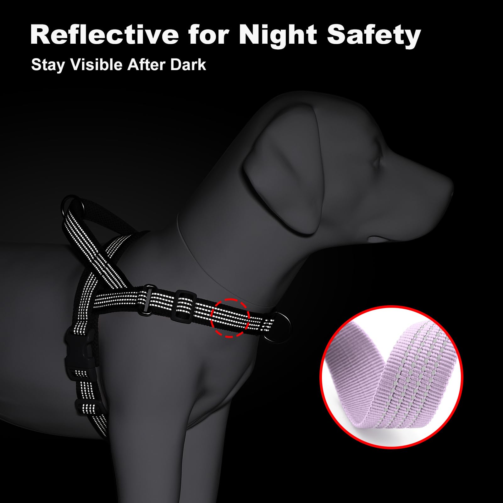 APAKBAK chien en promenade illustrant usage quotidien et durabilité
