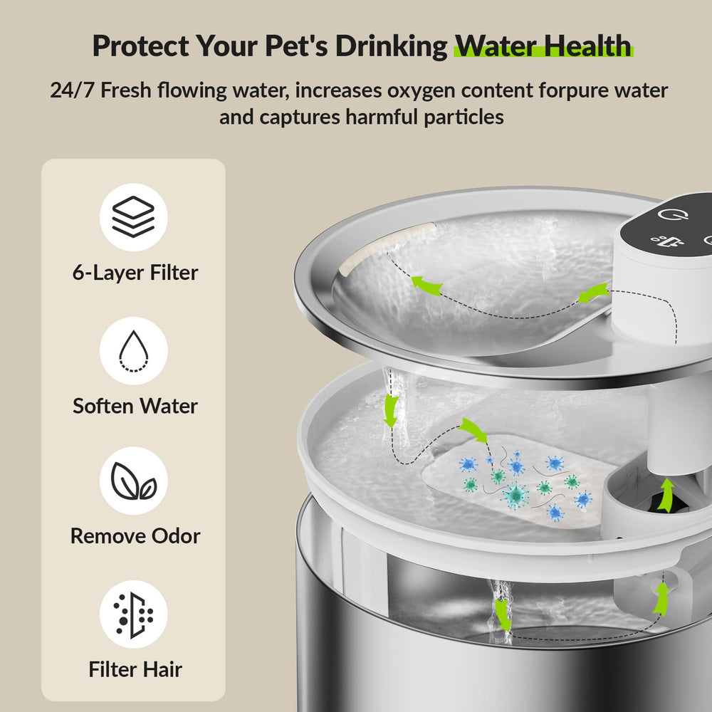 APETDOLA scène de vie chat buvant encourage hydratation avec eau plus propre