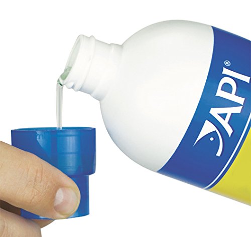 Comparatif avant-après montrant eau trouble devenue claire avec API ACCU-CLEAR