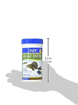 Scène d'aquarium avec API enrichissant la santé et la couleur des poissons