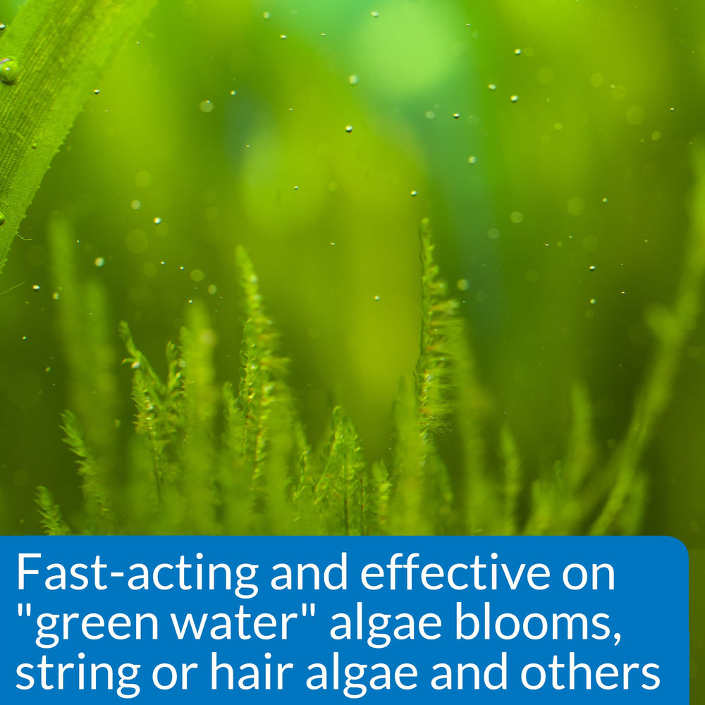 API Algaefix goutte au compte‑gouttes pour dosage précis et pratique