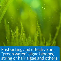 API Algaefix goutte au compte‑gouttes pour dosage précis et pratique