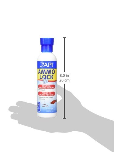 API AMMO-LOCK scène d'entretien montrant produit utilisé pendant nettoyage