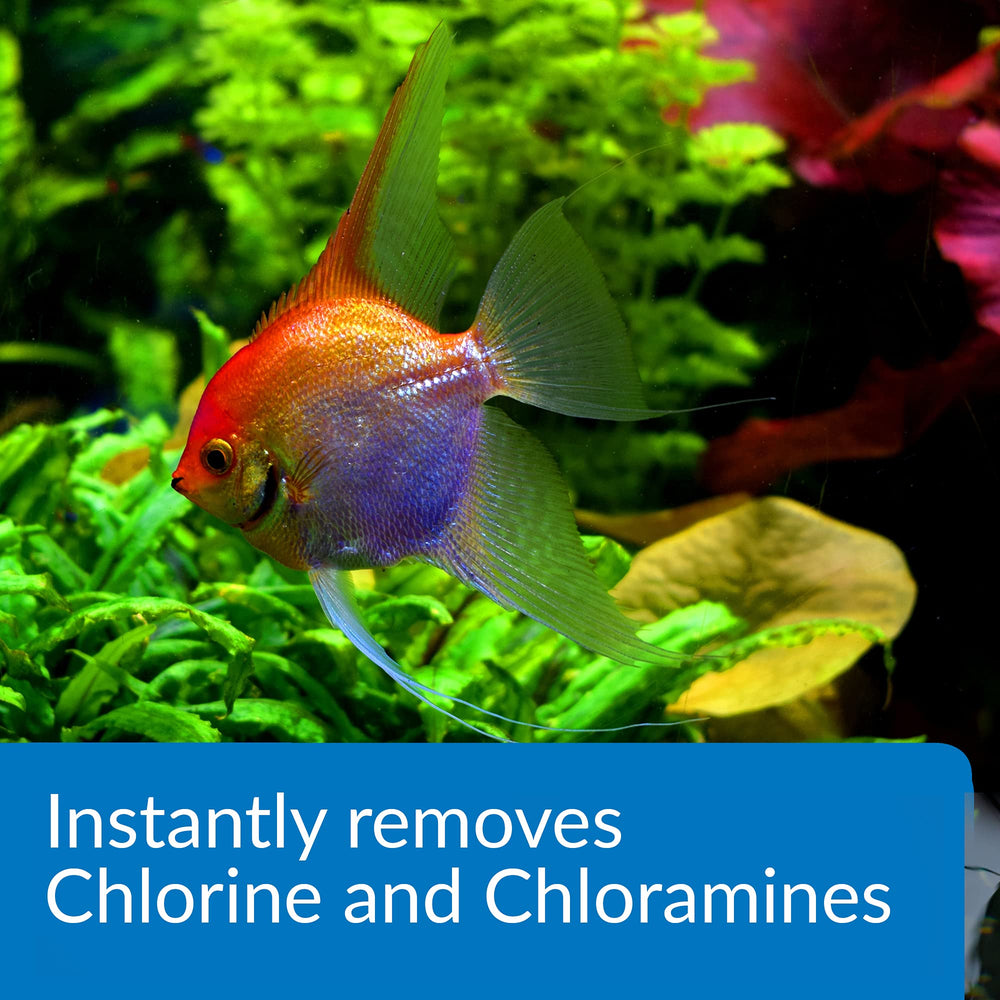 API AMMO-LOCK produit appliqué dans un aquarium pour protéger poissons
