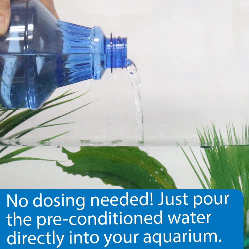 API Betta Water versée dans un bocal de betta illustrant un remplissage sans traitement