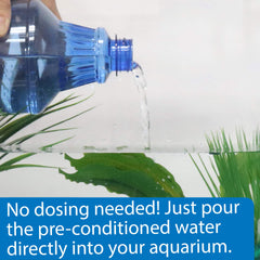 API Betta Water versée dans un bocal de betta illustrant un remplissage sans traitement
