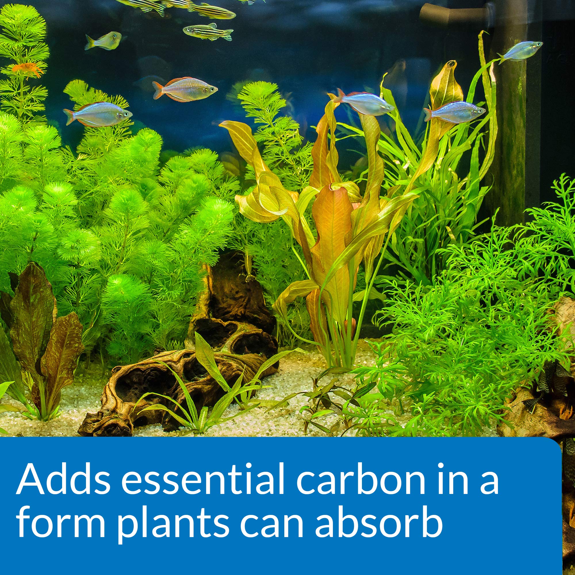 API CO2 BOOSTER dans aquarium montrant plantes plus vigoureuses