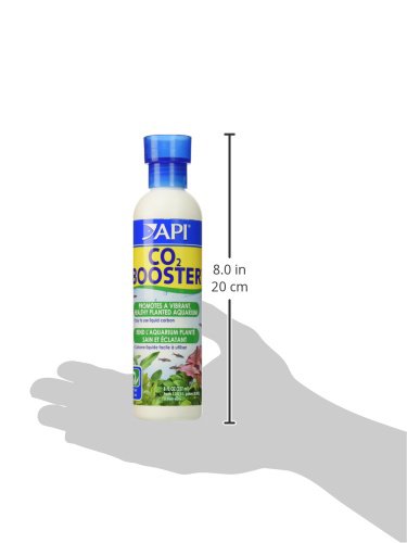 API CO2 BOOSTER scène aquascape montrant rendu naturel des plantes