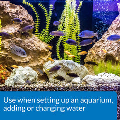 API conditionneur en usage lors d'un ajout d'eau pour protéger poissons