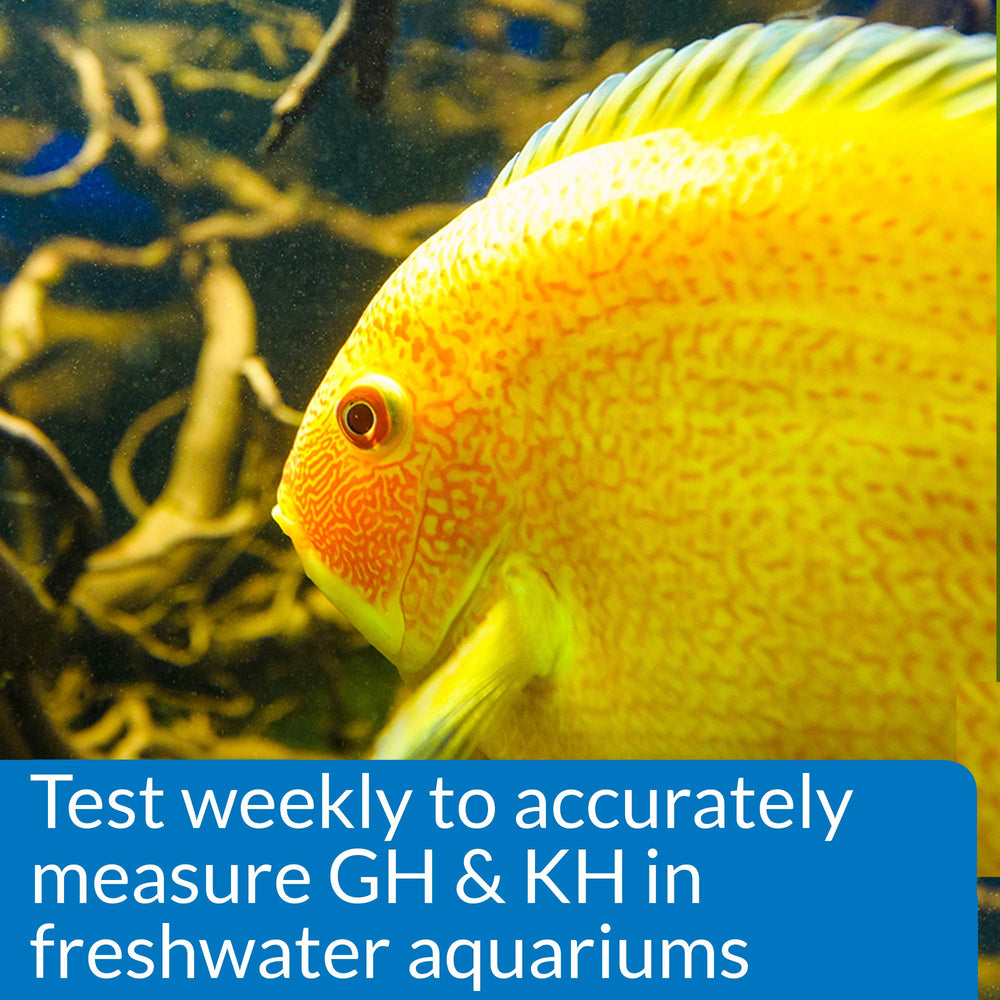 API test en cours dans aquarium pour surveillance préventive