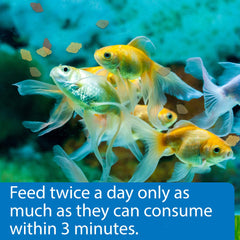API flocons dispersés dans aquarium pour couleurs améliorées