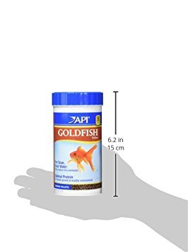 API granulés en train d'être donnés en aquarium bénéfice santé et couleur