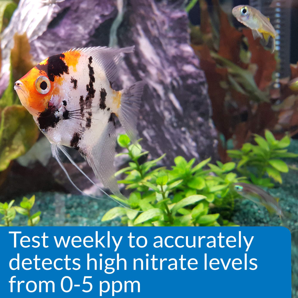 API test en cours montrant prélèvement dans aquarium et sécurité