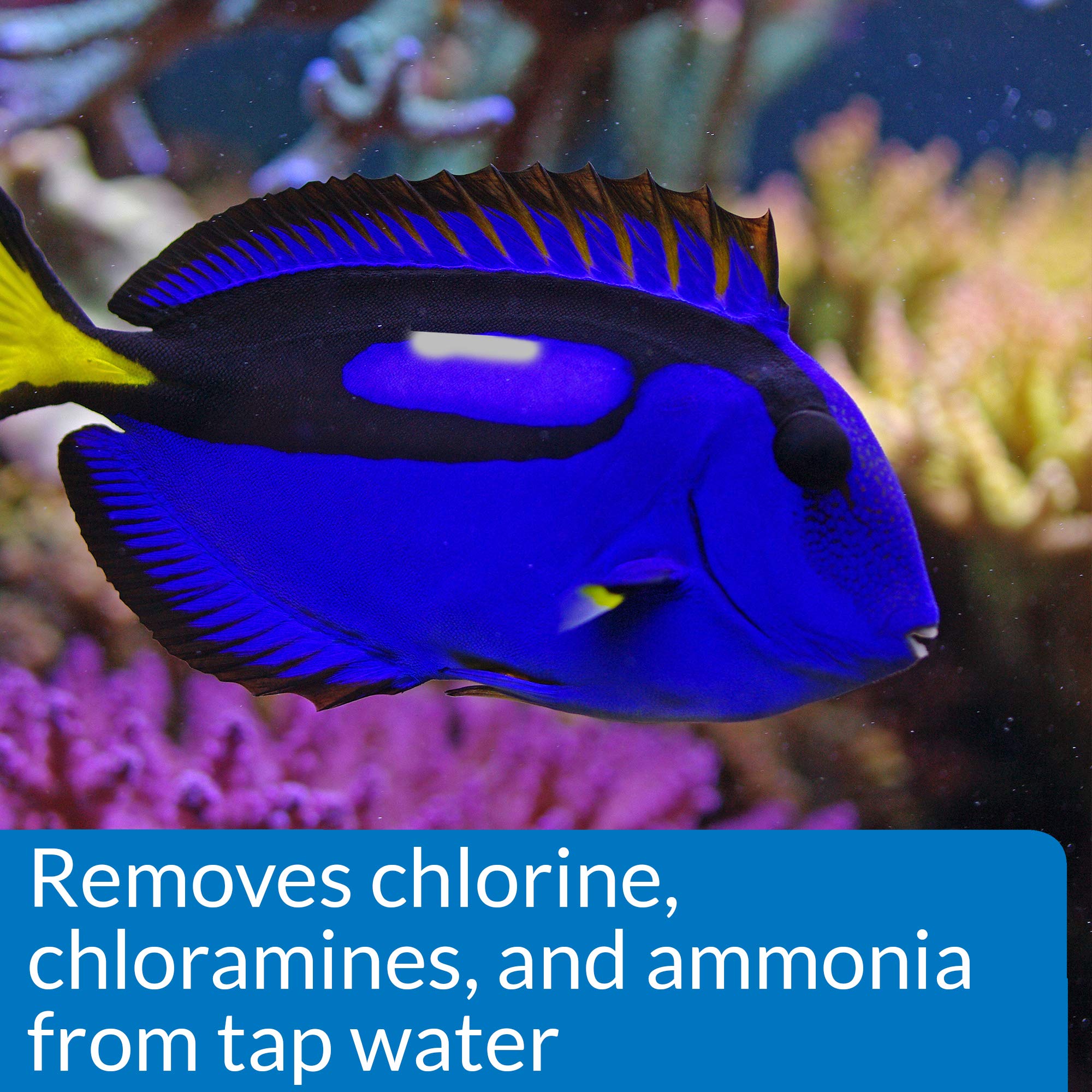 API Marine Stress Coat versé dans aquarium bénéfice préparation sûre de l'eau