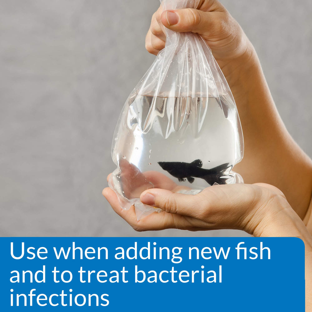 API Melafix utilisé dans un aquarium tropical, réduit risques d'infection
