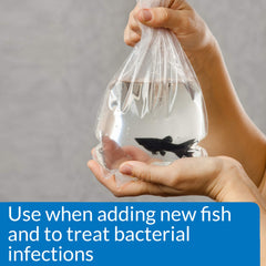 API Melafix utilisé dans un aquarium tropical, réduit risques d'infection