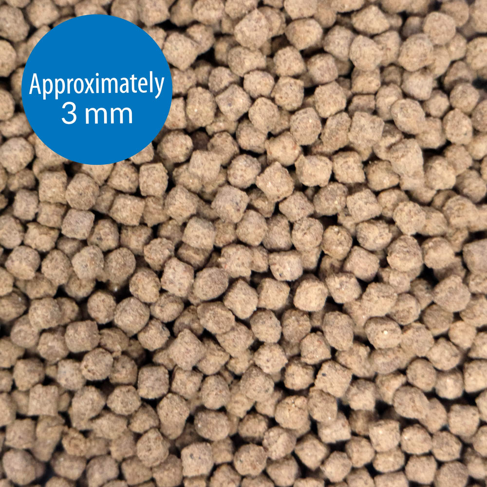 API pellets en train de couler au fond, avantage appétence pour poissons