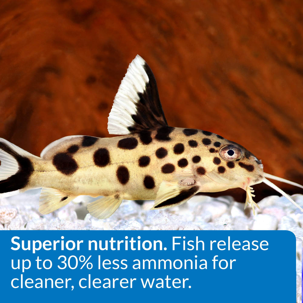 API poissons de fond consommant pellets, avantage réduction déchets