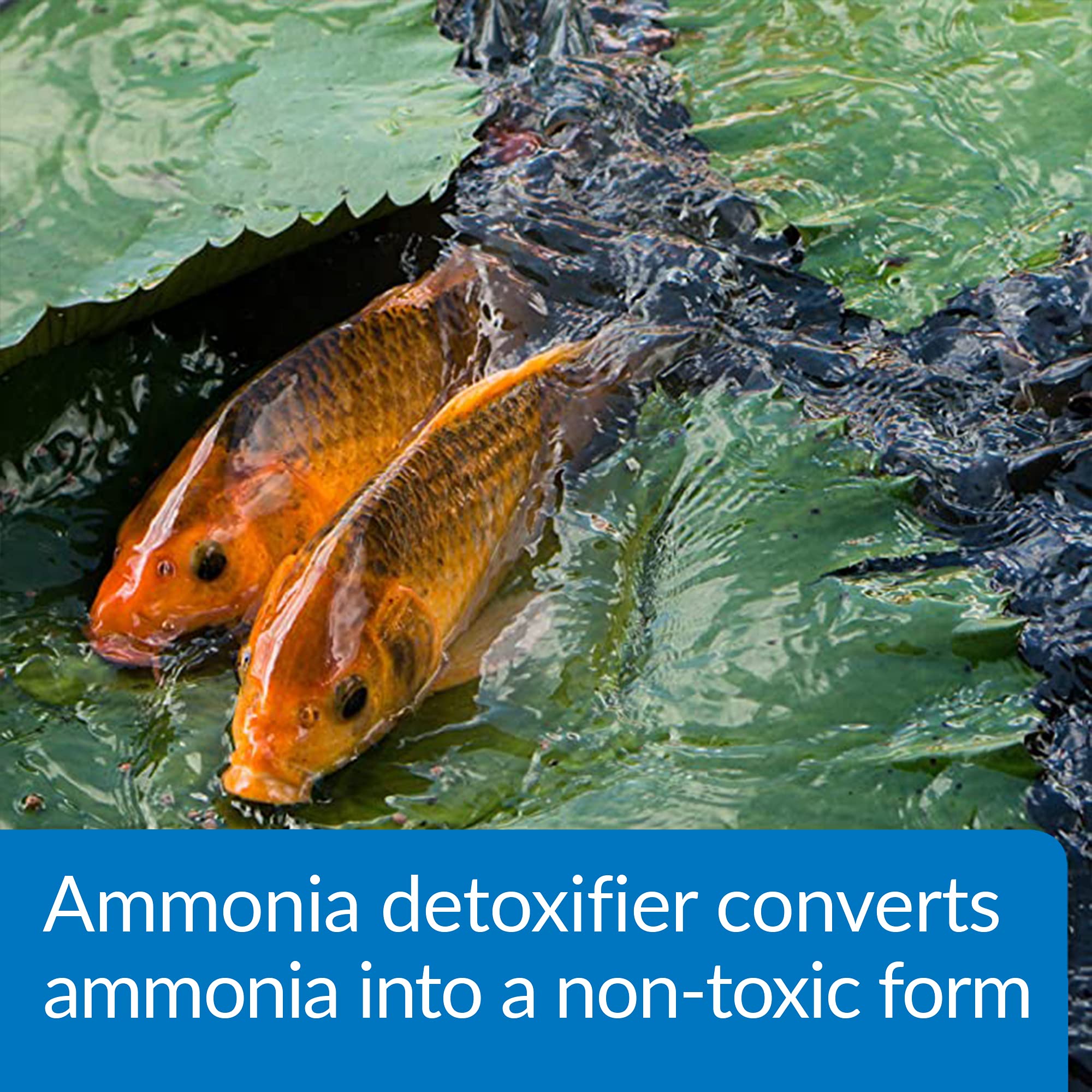 API POND AMMO-LOCK bouteille côte à côte pour évaluer l'échelle et le rendement