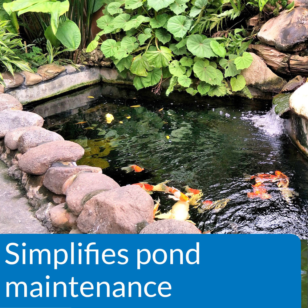 Gros plan API Pond EcoFix sur la texture et concentration pour efficacité