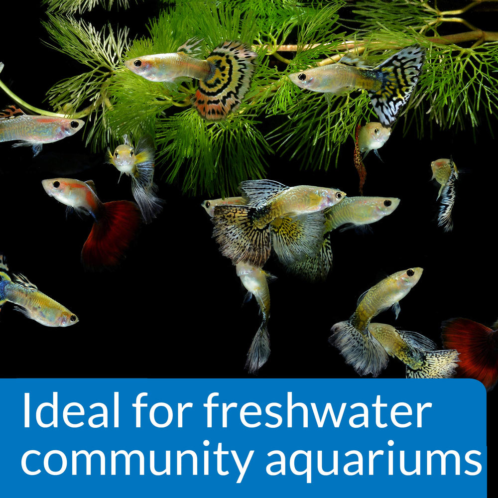 API PROPER pH 7.0 posé devant un aquarium communautaire démontrant l’effet visuel