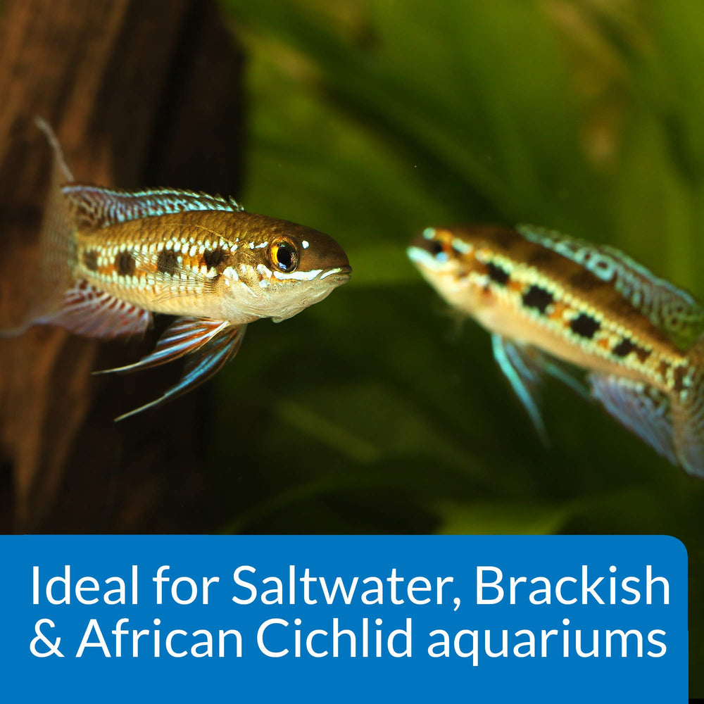 API résultat visuel dans aquarium cichlidés africains eau claire, améliore couleur