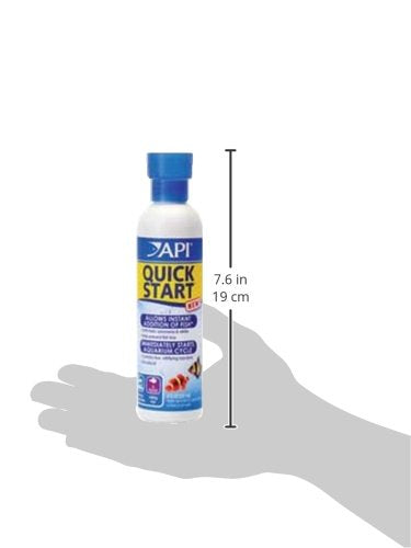 API Quick Start aquarium réussi avec poissons sains et eau claire