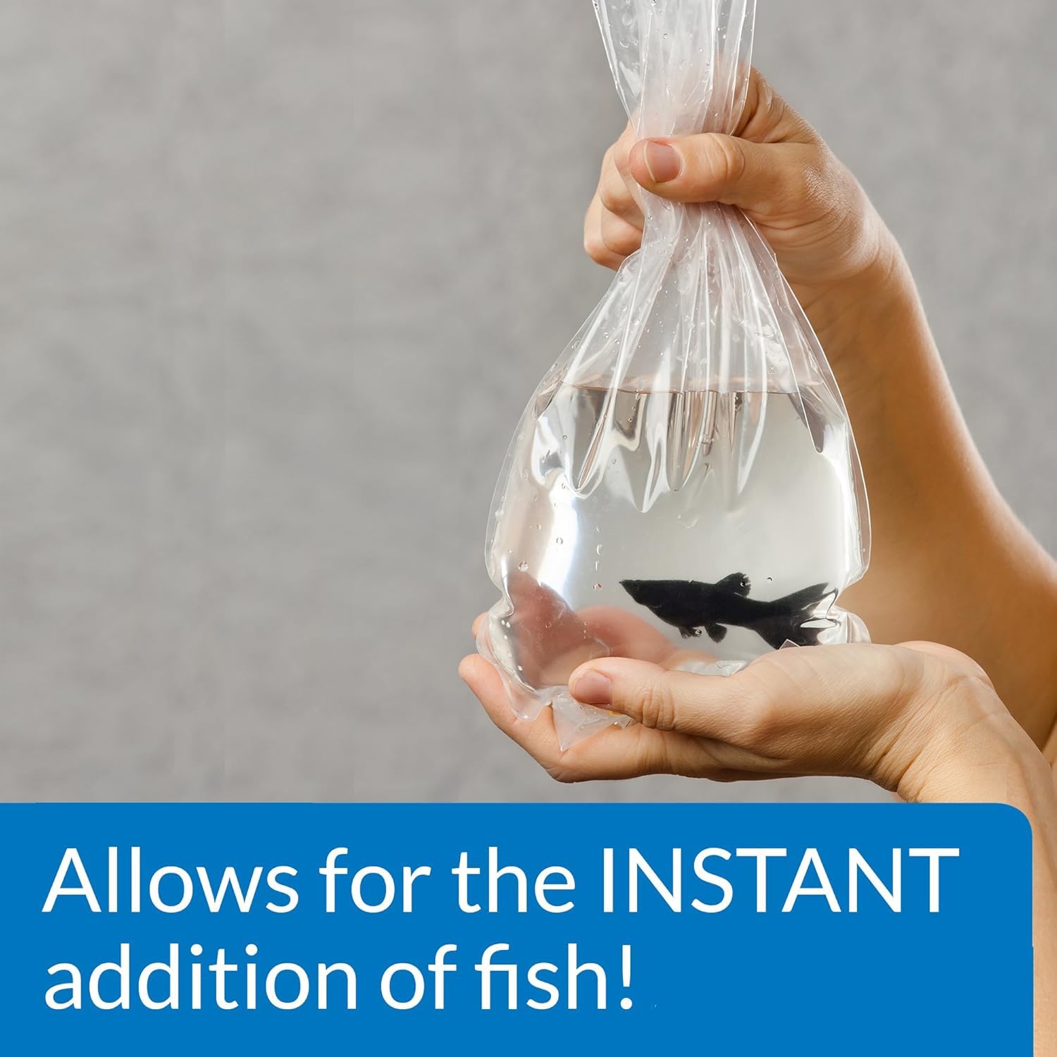 API Quick Start ajouté dans un aquarium neuf favorisant la colonisation bactérienne