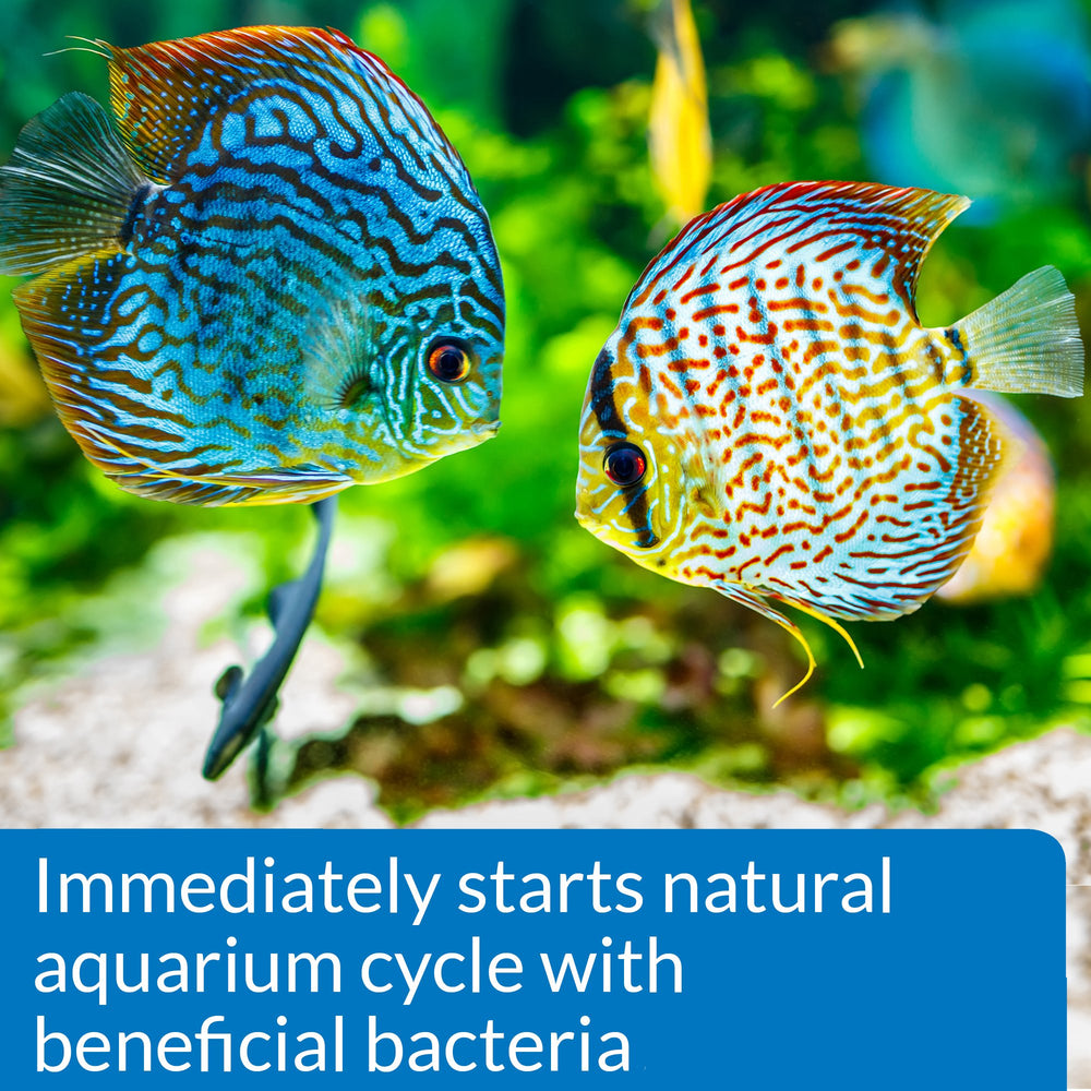 API Quick Start en cours d'utilisation versé dans un aquarium pour stabiliser l'eau